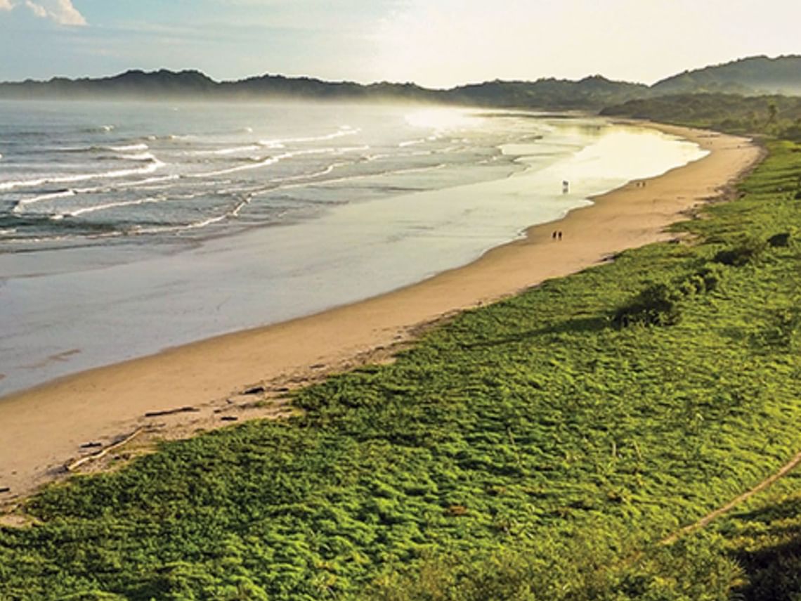 ecological restoration with costa verdes standard
