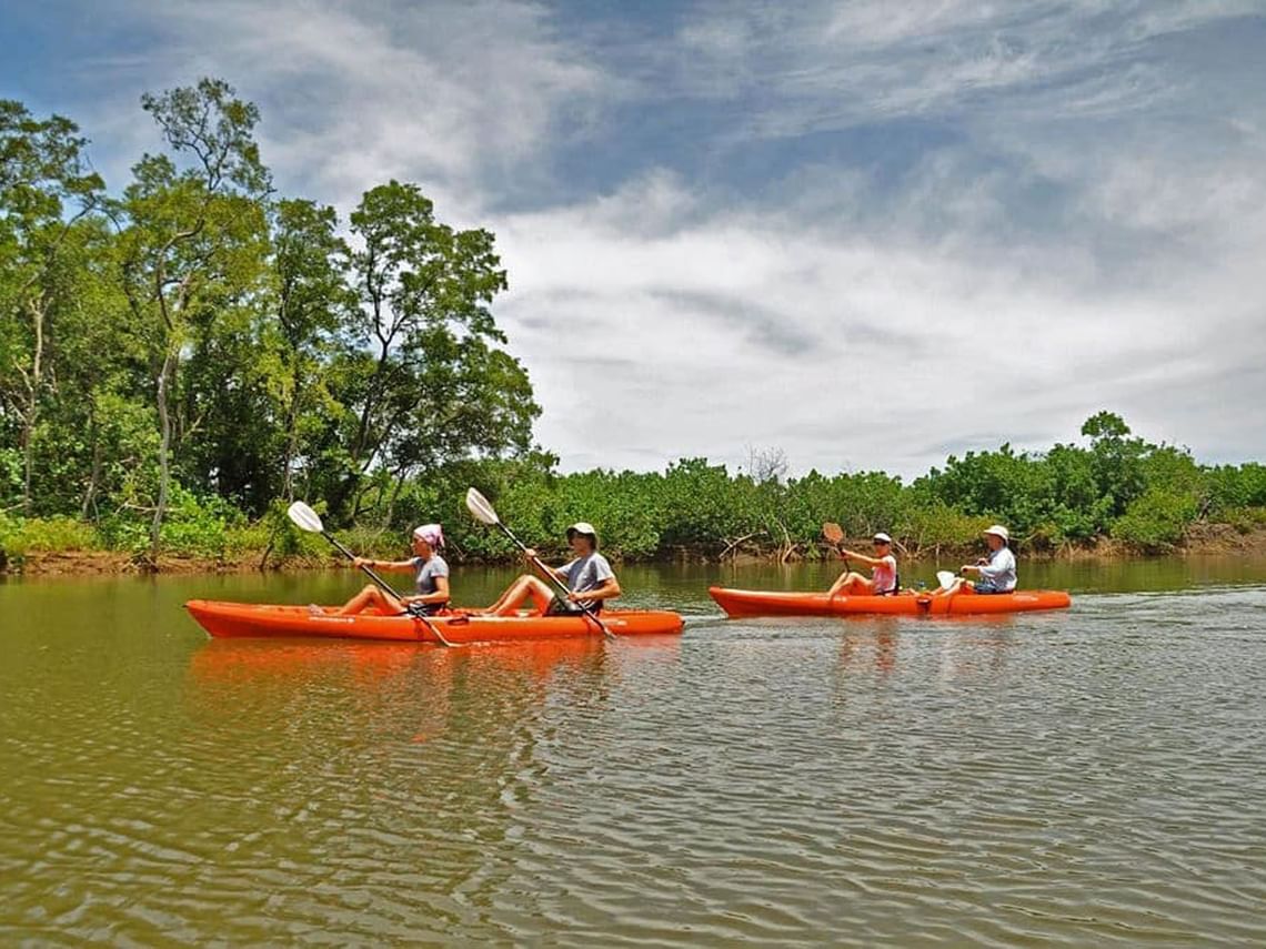 kayak standard