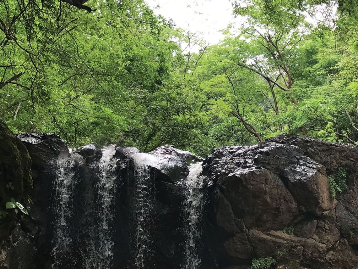 mala noche waterfall wildlife adventure standard